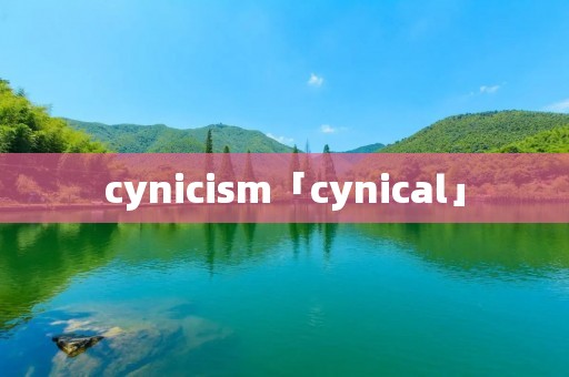 cynicism「cynical」