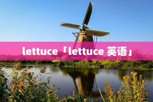 lettuce「lettuce 英语」 lettuce「lettuce 英语」