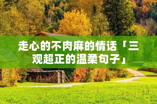 走心的不肉麻的情话「三观超正的温柔句子」