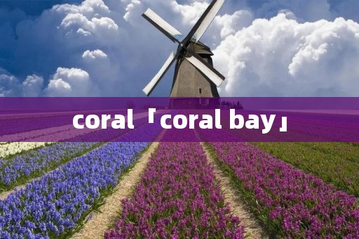 coral「coral bay」 coral「coral bay」