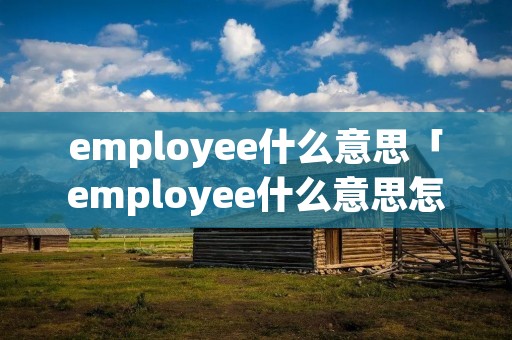 employee什么意思「employee什么意思怎么读」