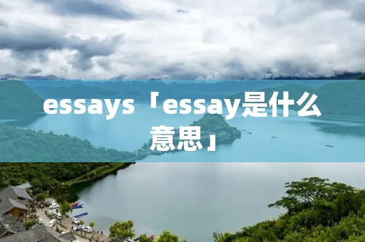 essays「essay是什么意思」
