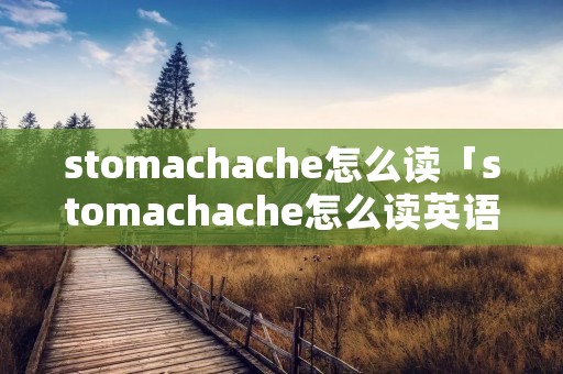 stomachache怎么读「stomachache怎么读英语语音」