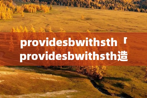 providesbwithsth「providesbwithsth造句简单」