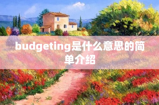 budgeting是什么意思的简单介绍