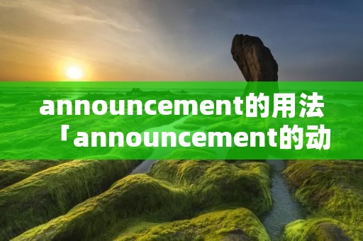 announcement的用法「announcement的动词」