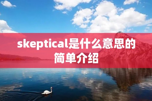 skeptical是什么意思的简单介绍