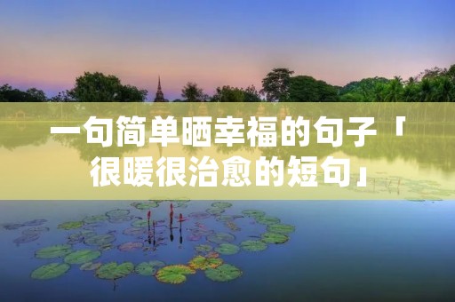 一句简单晒幸福的句子「很暖很治愈的短句」