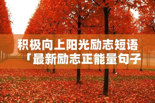 积极向上阳光励志短语「最新励志正能量句子」
