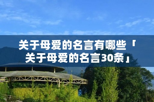 关于母爱的名言有哪些「关于母爱的名言30条」