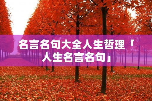 名言名句大全人生哲理「人生名言名句」