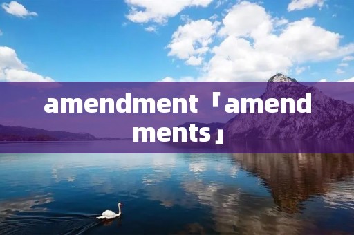 amendment「amendments」