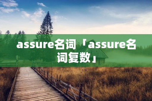 assure名词「assure名词复数」