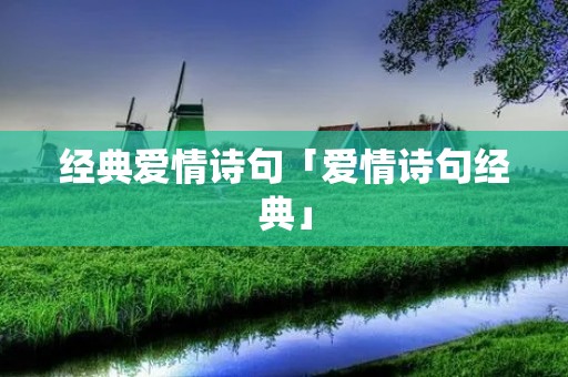 经典爱情诗句「爱情诗句经典」