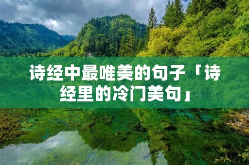 诗经中最唯美的句子「诗经里的冷门美句」