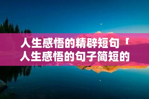 人生感悟的精辟短句「人生感悟的句子简短的,句句精辟现实2020」