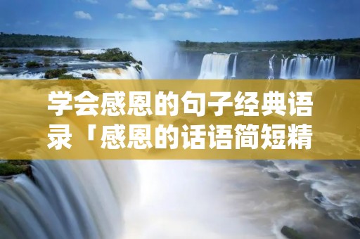 学会感恩的句子经典语录「感恩的话语简短精辟」
