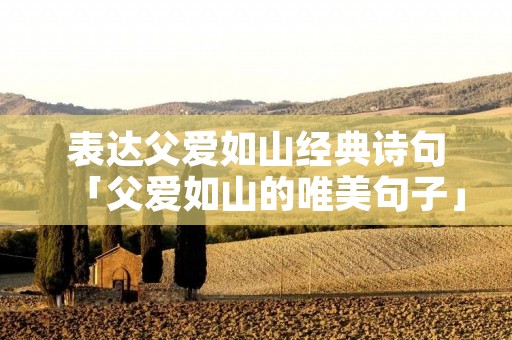 表达父爱如山经典诗句「父爱如山的唯美句子」