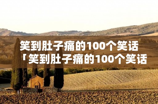 笑到肚子痛的100个笑话「笑到肚子痛的100个笑话15字」
