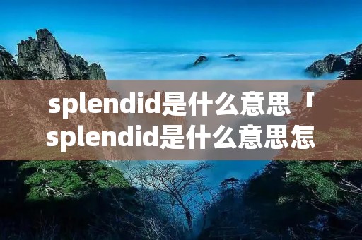splendid是什么意思「splendid是什么意思怎么读」 splendid是什么意思「splendid是什么意思怎么读」