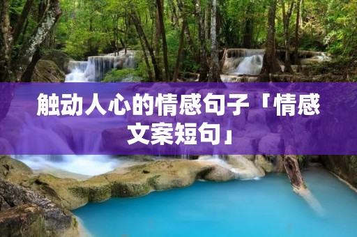 触动人心的情感句子「情感文案短句」 触动人心的情感句子「情感文案短句」