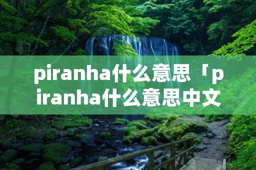 piranha什么意思「piranha什么意思中文」