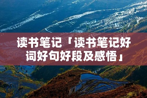 读书笔记「读书笔记好词好句好段及感悟」