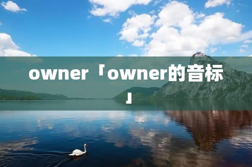 owner「owner的音标」