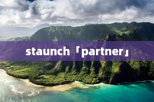 staunch「partner」 staunch「partner」