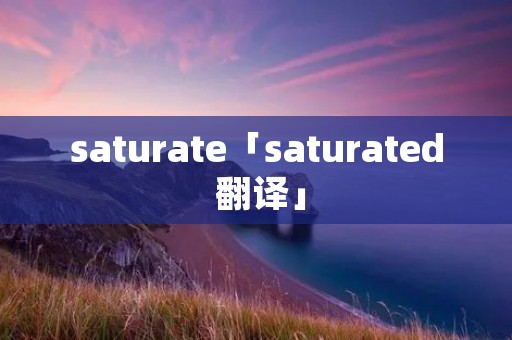 saturate「saturated 翻译」