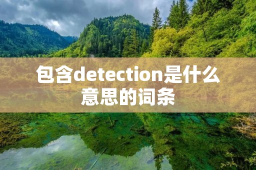 包含detection是什么意思的词条