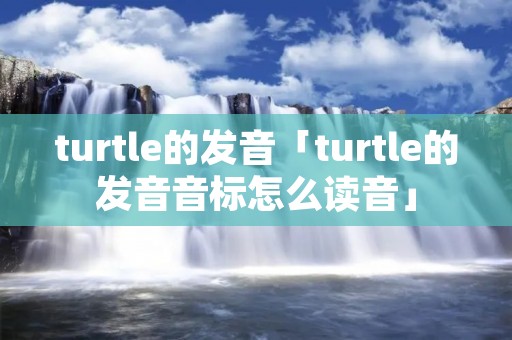 turtle的发音「turtle的发音音标怎么读音」 turtle的发音「turtle的发音音标怎么读音」