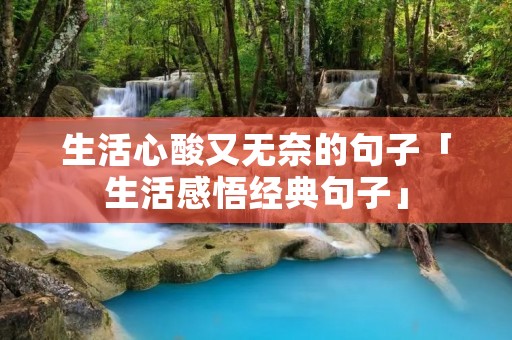 生活心酸又无奈的句子「生活感悟经典句子」