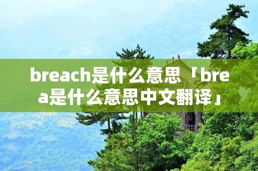 breach是什么意思「brea是什么意思中文翻译」