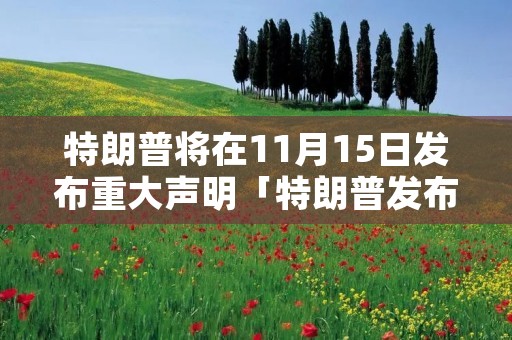 特朗普将在11月15日发布重大声明「特朗普发布重要声明」