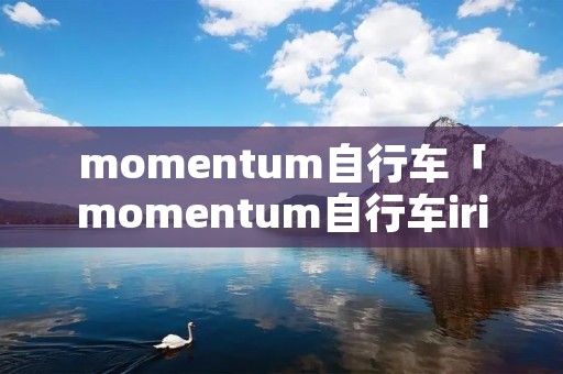 momentum自行车「momentum自行车iride1600」 momentum自行车「momentum自行车iride1600」