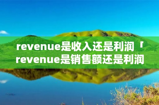 revenue是收入还是利润「revenue是销售额还是利润」