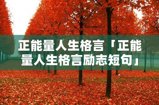 正能量人生格言「正能量人生格言励志短句」