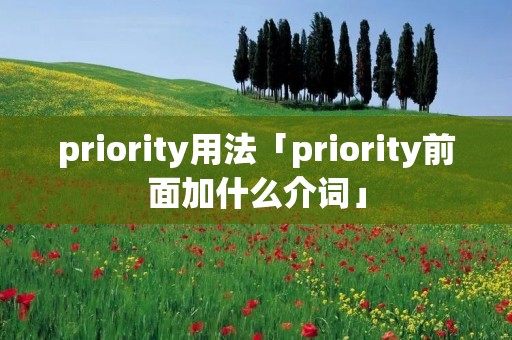 priority用法「priority前面加什么介词」