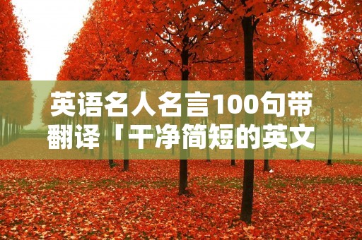 英语名人名言100句带翻译「干净简短的英文励志句子」