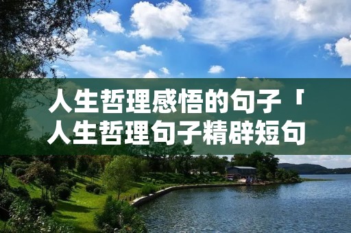 人生哲理感悟的句子「人生哲理句子精辟短句」