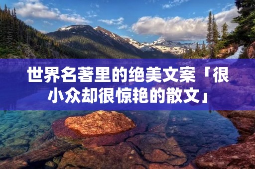 世界名著里的绝美文案「很小众却很惊艳的散文」