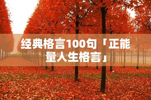 经典格言100句「正能量人生格言」