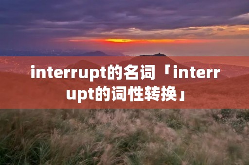 interrupt的名词「interrupt的词性转换」