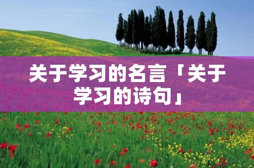 关于学习的名言「关于学习的诗句」