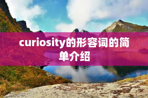 curiosity的形容词的简单介绍
