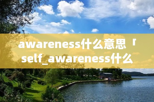 awareness什么意思「self_awareness什么意思」