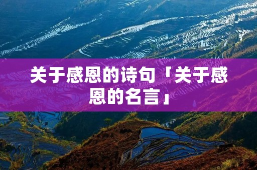 关于感恩的诗句「关于感恩的名言」