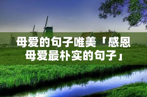 母爱的句子唯美「感恩母爱最朴实的句子」
