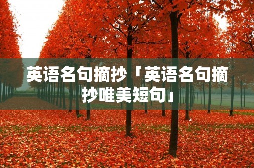 英语名句摘抄「英语名句摘抄唯美短句」